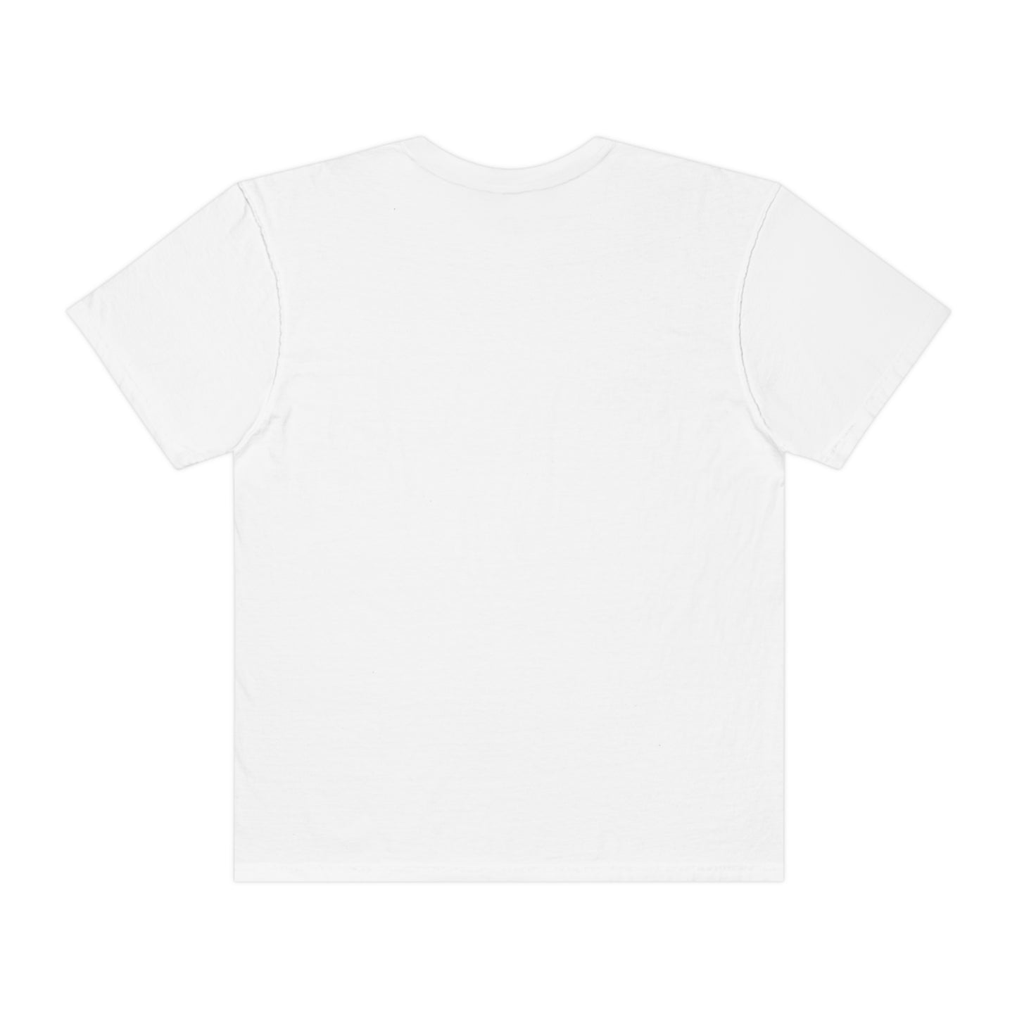 LiterallyUs Unisex Garment-Dyed T-shirt